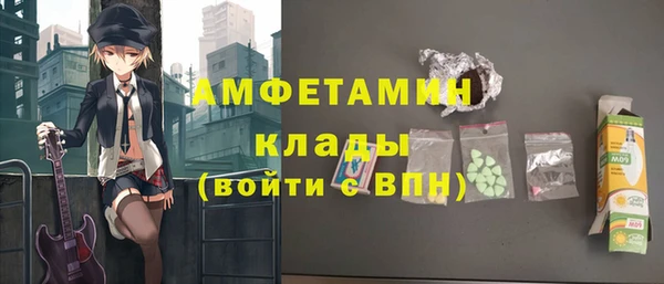 твердый Арсеньев