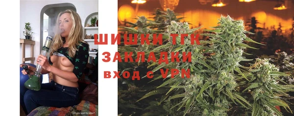 твердый Арсеньев