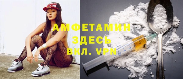 твердый Арсеньев